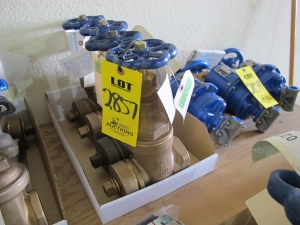 LOT (4) VALVES, GATE TYPE, 2-1/2" SIZE, 175 LB RATING, BRONZE MATERIAL, MALE THD X FEMALE THD CONNECTIONS, HOSE STYLE. WITH CAP AND CHAIN CONSTRUCTION. AMERICAN NATIONAL STANDARD HOSE THREADS ON MALE OUTLET, UL LISTED. PART # T-103-HC (W-51) LOADING & HANDLING FEE $5-